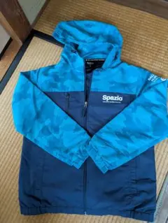 Item thumbnail for item 8a46d938-a522-46f4-b343-526ff342639a