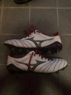 モレリアネオⅣ 25.0cm