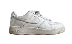 ナイキ エアフォース 1 エディションモデル