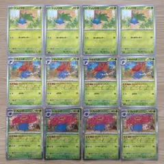 No.3354 ナゾノクサ　クサイハナ　ラフレシア　まんかいエナジー