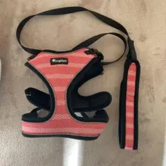 Item thumbnail for item 529ad749-d943-44c2-ab46-d33676782144