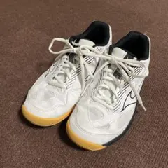 ミズノバレーボールシューズ
