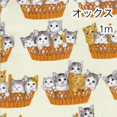 ラスト 1m かご猫 アイボリー オックス