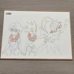 HUNTER×HUNTER G.I 複製アニメ原画シート ゴン キルア ビスケ