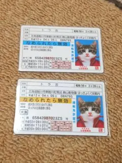 仮面ライダーカード　ウルトラマンカード　なめ猫免許証 仮面ライダーカード ウルトラマンカード なめ猫免許証 Amazon.co