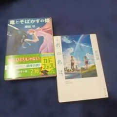 竜とそばかすの姫 & 君の名は。2冊セット