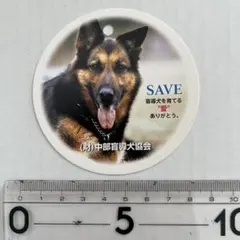 Item thumbnail for item c8ad8418-e6c1-4d74-a7e6-66bb31758ffe