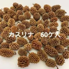 NO.382-87 カスリナ(木の実／素材) 60ケ入