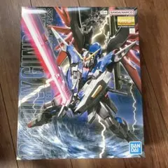 2026年最新】mg デスティニーガンダムの人気アイテム - メルカリ