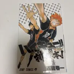 ハイキュー!! コンプリートガイドブック 排球本!