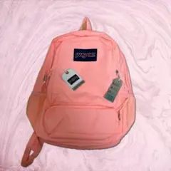 【希少】【多少値下可能】新品未使用 JANSPORT ジャンスポーツ リュックのサムネイル