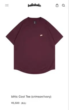 ボーラホリック カレッジロゴ メッシュ Tシャツ M - メルカリ