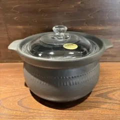 ウィルセラム 健康土瓶 超耐熱セラミック 遠赤外線 急須 やかん - メルカリ