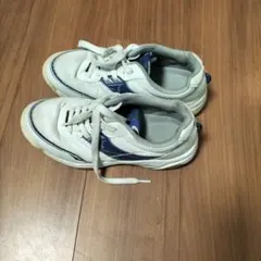 Item thumbnail for item 3a6317fe-d534-4e38-8272-d4761e444390