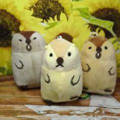 マーモット キャラクターグッズ