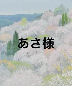 あさ様　専用　詳細必読