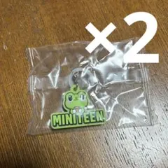 MINITEEN ぷっくりめじるしアクセサリー THEPALEE THE8