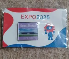 2025年最新】expo ピンバッジの人気アイテム - メルカリ