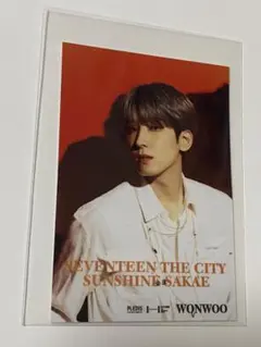 セブチ bethesun キッチンカー ウォヌ ステッカー