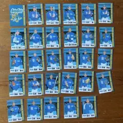 【匿名配送】2006年 徳島インディゴソックス カード29枚まとめ売り