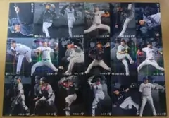 プロ野球チップス　2020　侍ジャパン　36枚セット