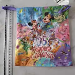 東京ディズニーリゾート 35周年記念 ポーチ