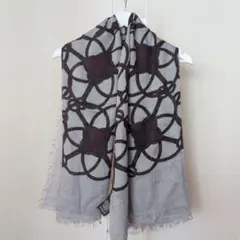 Alexander Mqueen skull Scarf Stole - メルカリ