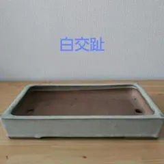 中型盆栽鉢 白角 渡辺一弘作 - メルカリ