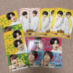 ふまけん　ガルボ　下敷&クリアファイル