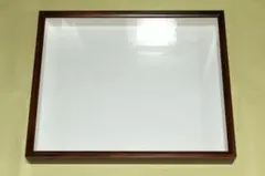大型ドイツ型標本箱 中古品 藤本標本用品製 50.8×41.8×6.2cm - メルカリ