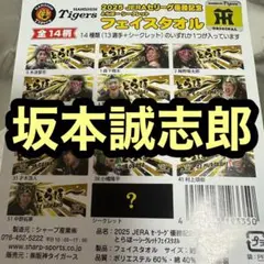 阪神タイガース　シークレット とらほー 坂本誠志郎