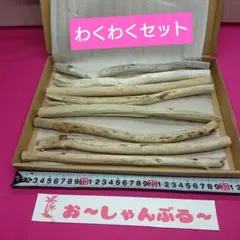 流木セットno.413