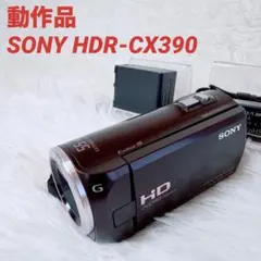 2026年最新】HDR-CX390の人気アイテム - メルカリ