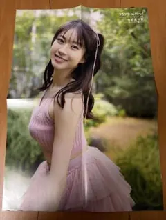 Item thumbnail for item 447d312b-e2e2-48f2-936a-e7c4a1c06d88