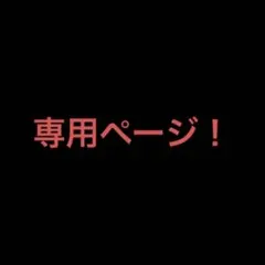 専用ページ