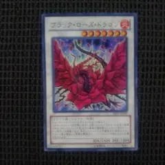 ブラックローズドラゴン ウルトラパラレル DT04 遊戯王 ゲートボール