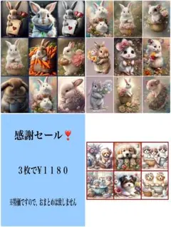 感謝セール！２６