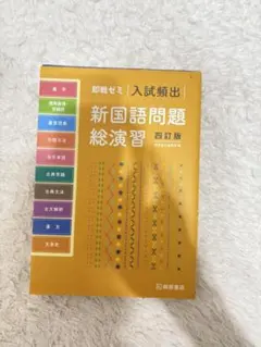 新国語問題総演習 四訂版