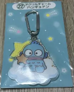 ハンギョドン アクリルチャーム キーホルダー