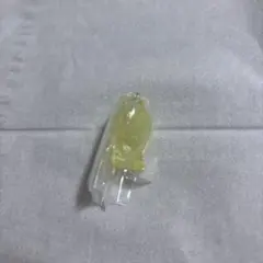 スキズ skzoo グミ チャーム ポガリ