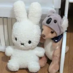 あいうさん　専用