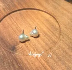 Item thumbnail for item d915c310-e5ca-4f09-9624-67390ef0cb97