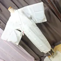 正絹 白大島紬 袷着物 蚊絣 朱色八掛 逸品 - メルカリ
