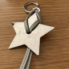 匿名配送☆ 未使用　Dior 星型キーホルダー シルバー
