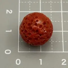 本珊瑚 珊瑚玉 赤珊瑚 1.46mm 両穴 ルース 虫食い スポンジ なつ20