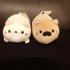 ごろねこサミット ぬいぐるみ