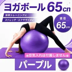 パープル ヨガボール65cm バランスボール 体幹トレーニング エクササイズ用品のサムネイル