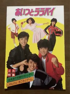 少年隊 コンサートパンフレット 少年隊 パンフレット SPRING CONCERT｜Yahoo!フリマ（旧PayPay