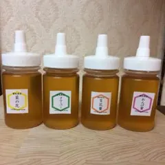 【非加熱・生はちみつ】4種お試しセット・150g×4（4本）
