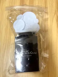 We're timelessz LIVE TOUR 2024 ペンライト